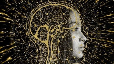 وجوه Deepfake أكثر جدارة بالثقة ، ولا يمكن تمييزها عن الوجوه الحقيقية: البحث