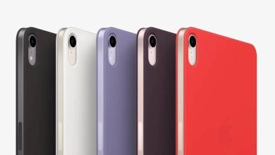 يقترح رئيس WhatsApp أن التطبيق الأصلي لأجهزة iPad يمكن أن يكون قيد التشغيل