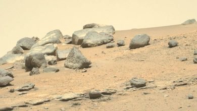 تشير الصخور المرتدة إلى زلازل على سطح المريخ تشير الصخور المرتدة إلى زلازل على سطح المريخ