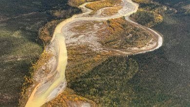 تتحول الممرات المائية القطبية في ألاسكا إلى اللون البرتقالي النابض تتحول الممرات المائية القطبية في ألاسكا إلى اللون البرتقالي النابض