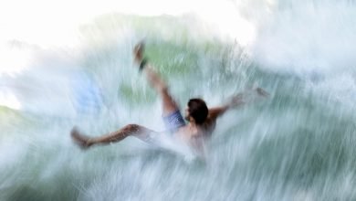 لم يعد Twitter ملاذًا إبداعيًا لم يعد Twitter ملاذًا إبداعيًا