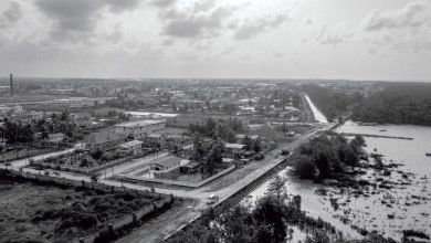 السعي لنزع فتيل قنبلة الكربون في جويانا السعي لنزع فتيل قنبلة الكربون في جويانا