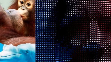 التعاطف في عصر الذكاء الاصطناعي التعاطف في عصر الذكاء الاصطناعي