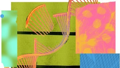 سعي كريسبر لقتل دونيغال ايمي سعي كريسبر لقتل دونيغال ايمي