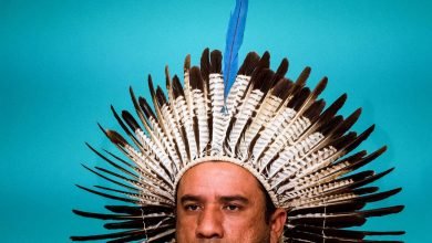 هدف الحفظ “30 × 30” ينقسم ويُلهم في COP15 هدف الحفظ “30 × 30” ينقسم ويُلهم في COP15