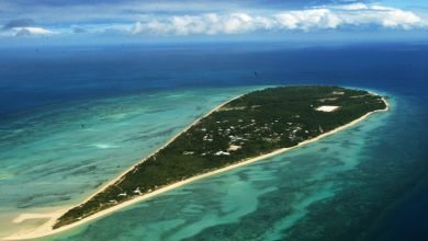 لقاء مع محامي الأرض |  سلكي