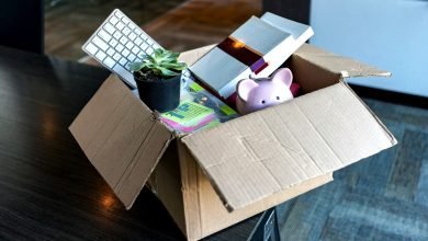 تسليط الضوء على تسريح العمال من شركات التكنولوجيا الكبيرة يسلط الضوء على فشل الولايات المتحدة في العمال المهاجرين تسليط الضوء على تسريح العمال من شركات التكنولوجيا الكبيرة يسلط الضوء على فشل الولايات المتحدة في العمال المهاجرين