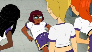 لماذا “Velma” هي حقيبة التثقيب الجديدة على الإنترنت