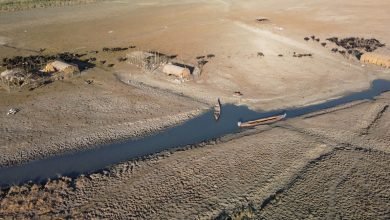 تختفي أهوار بلاد ما بين النهرين مرة أخرى