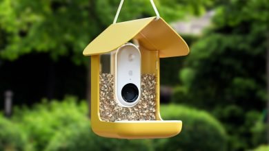 مراجعة Bird Buddy: جعل الطيور سهلة مراجعة Bird Buddy: جعل الطيور سهلة