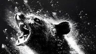 “دب الكوكايين” هو قتل طنانة