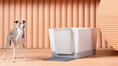 مراجعة الحمام الكلب: صندوق باهظ الثمن لأعمال الجرو الخاص بك مراجعة الحمام الكلب: صندوق باهظ الثمن لأعمال الجرو الخاص بك