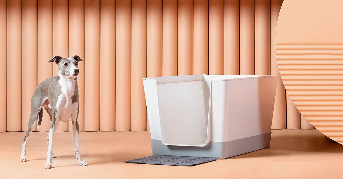 مراجعة الحمام الكلب: صندوق باهظ الثمن لأعمال الجرو الخاص بك