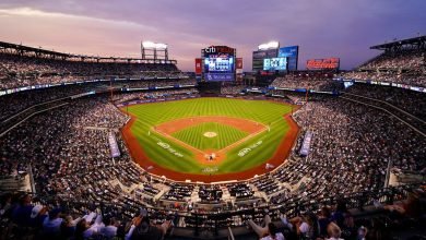 تعتاد على التعرف على الوجوه في الملاعب