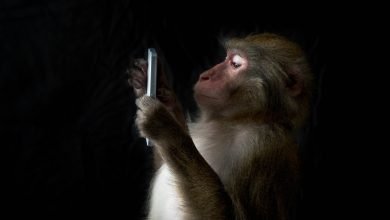 تجعل هذه الأداة Twitter أكثر قابلية للقراءة