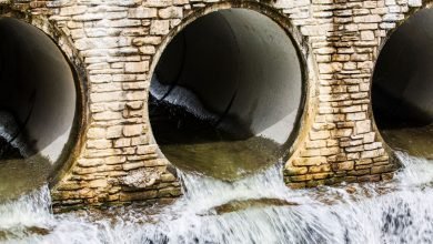 أزمة مقاومة المضادات الحيوية لها تطور مقلق أزمة مقاومة المضادات الحيوية لها تطور مقلق