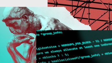 قضية نقد البرمجيات