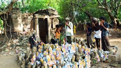 تعيد بساتين الهند المقدسة إحياء غابة آخذة في التلاشي