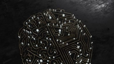 بدأ البحث عن غرسات الدماغ عن طريق الحقن بدأ البحث عن غرسات الدماغ عن طريق الحقن