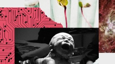 أنت تفكر في “الحياة” كله خطأ