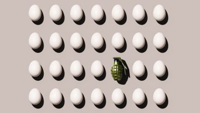 تكتيكات الأرض المحروقة للجيش السيبراني الإيراني تكتيكات الأرض المحروقة للجيش السيبراني الإيراني