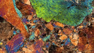 التقاط فسيفساء المعادن في النيازك التقاط فسيفساء المعادن في النيازك