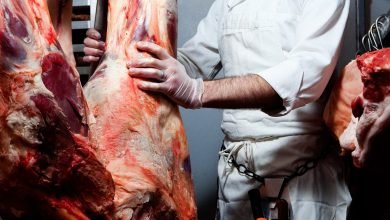 الحلقة الضعيفة الخطيرة في السلسلة الغذائية الأمريكية