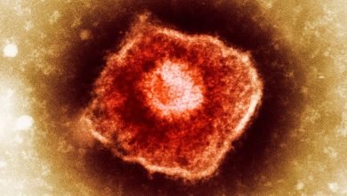 لم تشكل الأمراض التاريخ فحسب ، بل إنها تتحكم في المستقبل لم تشكل الأمراض التاريخ فحسب ، بل إنها تتحكم في المستقبل