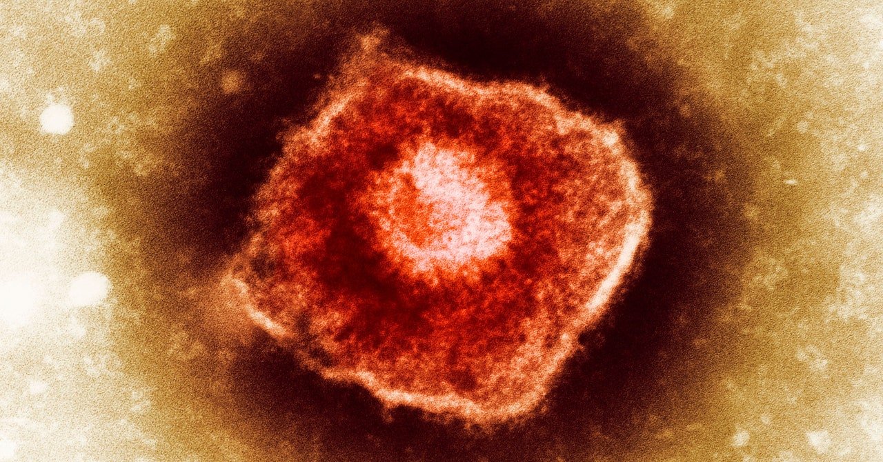 لم تشكل الأمراض التاريخ فحسب ، بل إنها تتحكم في المستقبل