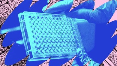 حان وقت استدعاء العاثيات في الحرب على البكتيريا