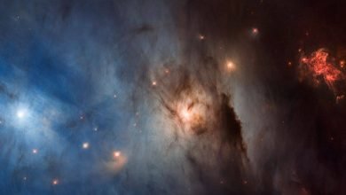 يحتفل تلسكوب هابل بالعام الثالث والثلاثين في الفضاء بالصورة الأثيرية لمنطقة تشكل النجوم يحتفل تلسكوب هابل بالعام الثالث والثلاثين في الفضاء بالصورة الأثيرية لمنطقة تشكل النجوم
