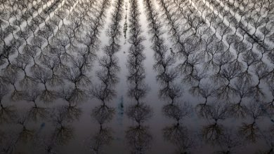 لا يمكن للكوكب أن يحافظ على النمو السريع لفترة أطول