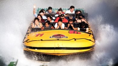 تاريخ شفوي للحديقة الجوراسية: الركوب تاريخ شفوي للحديقة الجوراسية: الركوب