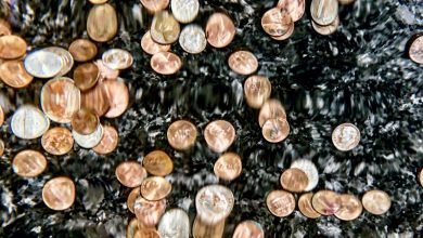 شركات التشفير المفلسة تقاتل على قدر متضائل من المال |  سلكي شركات التشفير المفلسة تقاتل على قدر متضائل من المال |  سلكي