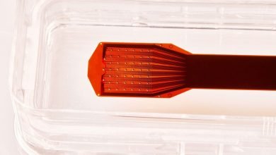 يسمح الناس لشركة ناشئة بوضع غرسة دماغ في جماجمهم – لمدة 15 دقيقة يسمح الناس لشركة ناشئة بوضع غرسة دماغ في جماجمهم – لمدة 15 دقيقة